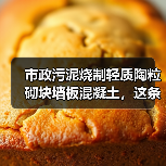 市政污泥烧制轻质陶粒砌块墙板混凝土，这条路走得通吗