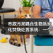 市政污泥耦合生物质炭化焚烧处置系统：一个技术路线选择的冷静观察（图3）