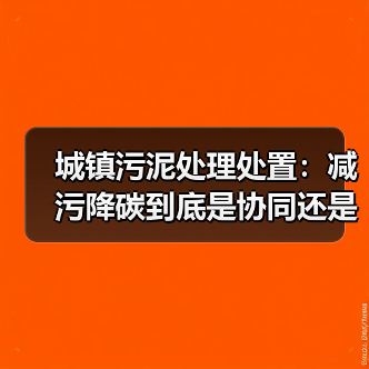 城镇污泥处理处置：减污降碳到底是协同还是妥协？（图4）