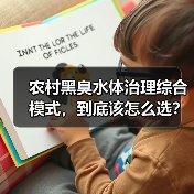 农村黑臭水体治理综合模式，到底该怎么选？（图3）