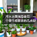 污水治理指导意见：一个理性观察者的几点疑惑