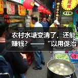 农村水塘变清了，还能赚钱？——“以用促治”是怎么一回事（图2）