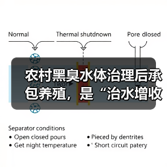 农村黑臭水体治理后承包养殖，是“治水增收双赢”还是新坑？（图2）