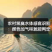 农村黑臭水体感官识别：颜色加气味就能判定