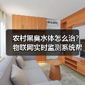 农村黑臭水体怎么治？物联网实时监测系统帮了大忙（图2）