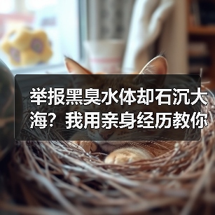 举报黑臭水体却石沉大海？我用亲身经历教你一招打通举报通道（图2）