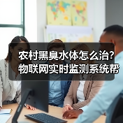 农村黑臭水体怎么治？物联网实时监测系统帮了大忙（图4）