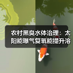 农村黑臭水体治理：太阳能曝气复氧能提升溶解氧吗？（图4）