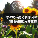 污泥厌氧消化后的沼渣，如何变成能用的生物炭（图2）