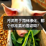 污泥用于园林绿化，那个标准真的靠谱吗？（图2）