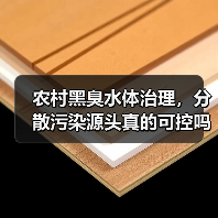 农村黑臭水体治理，分散污染源头真的可控吗？（图3）
