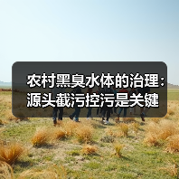 农村黑臭水体的治理：源头截污控污是关键（图3）