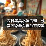 农村黑臭水体治理，分散污染源头真的可控吗？（图2）
