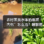 农村黑臭水体的底泥“内伤”怎么治？聊聊原位固化钝化