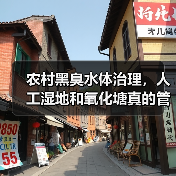 农村黑臭水体治理，人工湿地和氧化塘真的管用吗？（图2）