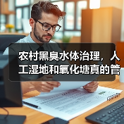农村黑臭水体治理，人工湿地和氧化塘真的管用吗？（图4）