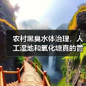 农村黑臭水体治理，人工湿地和氧化塘真的管用吗？（图3）