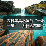 农村黑臭水体的“一水一策”：为什么不能一个方子治百病（图4）
