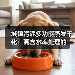 城镇污泥多功能蒸发干化：高含水率处理的一个被低估的减量路径