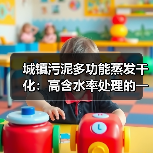城镇污泥多功能蒸发干化：高含水率处理的一个被低估的减量路径（图2）