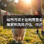 城市污泥土地利用重金属累积风险评估，你还在只看总量？（图2）