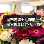 城市污泥土地利用重金属累积风险评估，你还在只看总量？（图4）