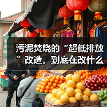 污泥焚烧的“超低排放”改造，到底在改什么（图4）
