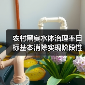 农村黑臭水体治理率目标基本消除实现阶段性成效，我亲历的翻车教训（图4）