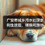 广安市城乡污水处理条例生效后，哪些问题值得仔细看？（图3）
