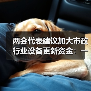 两会代表建议加大市政行业设备更新资金：一个理性观察（图4）
