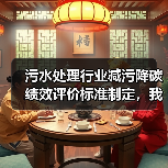 污水处理行业减污降碳绩效评价标准制定，我交的300万学费（图3）