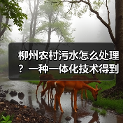 柳州农村污水怎么处理？一种一体化技术得到了认可（图3）