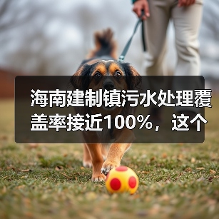 海南建制镇污水处理覆盖率接近100%，这个数字是怎么来的（图3）