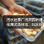 污水处理厂污泥园林绿化用泥质标准，坑比标准多（图3）