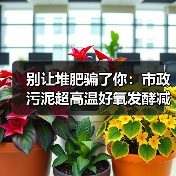 别让堆肥骗了你：市政污泥超高温好氧发酵减量30%以上才是真本事