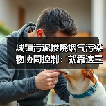 城镇污泥掺烧烟气污染物协同控制：就靠这三招（图2）