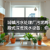 城镇污水处理厂污泥两段式深度脱水设备：你还在纠结含水率60%？（图2）