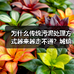 为什么传统污泥处理方式越来越走不通？城镇污水厂污泥前置炭化资源化处置（图4）