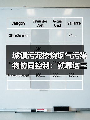 城镇污泥掺烧烟气污染物协同控制：就靠这三招
