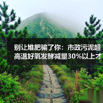 别让堆肥骗了你：市政污泥超高温好氧发酵减量30%以上才是真本事（图4）