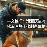 一文搞懂：污泥厌氧消化沼渣热干化制备生物炭（图3）