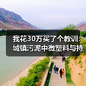 我花30万买了个教训：城镇污泥中微塑料与持久性有机污染物去除的3个致命误区（图2）