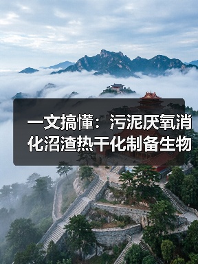 一文搞懂：污泥厌氧消化沼渣热干化制备生物炭（图4）