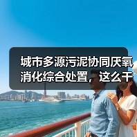 城市多源污泥协同厌氧消化综合处置，这么干才不亏钱（图2）