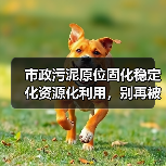市政污泥原位固化稳定化资源化利用，别再被传统方法坑了（图4）