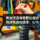市政污泥与餐厨垃圾协同厌氧消化技术：C/N比调不好，产气率就是扯淡（图2）