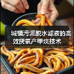 城镇污泥脱水滤液的高效厌氧产甲烷技术