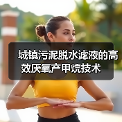 城镇污泥脱水滤液的高效厌氧产甲烷技术（图3）