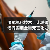 湿式氧化技术：让城镇污泥实现全量无害化处置（图3）