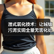 湿式氧化技术：让城镇污泥实现全量无害化处置（图2）